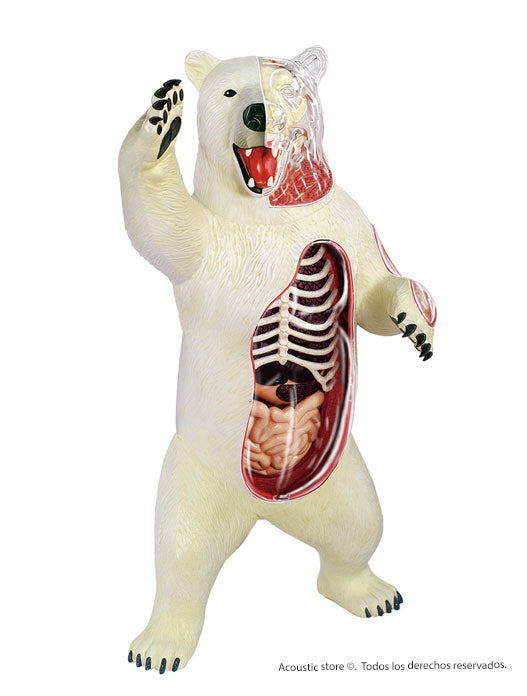Figura oso polar armable