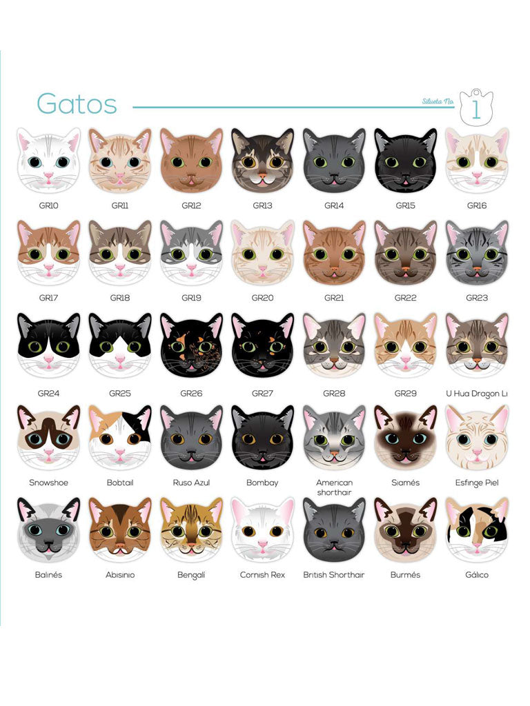 Placas gatos